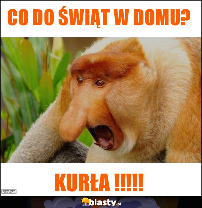 Co do świąt w domu?