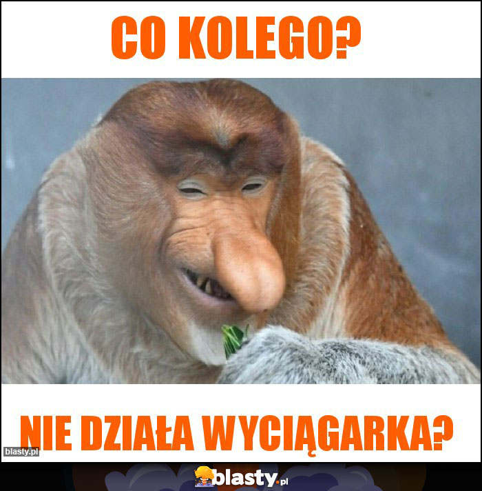 Co kolego?