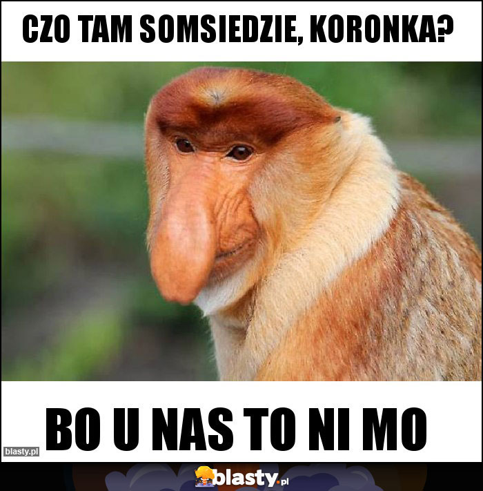 Czo tam somsiedzie, koronka?