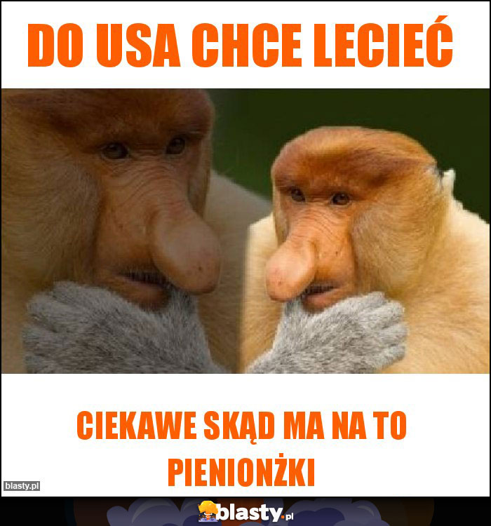 Do USA chce lecieć