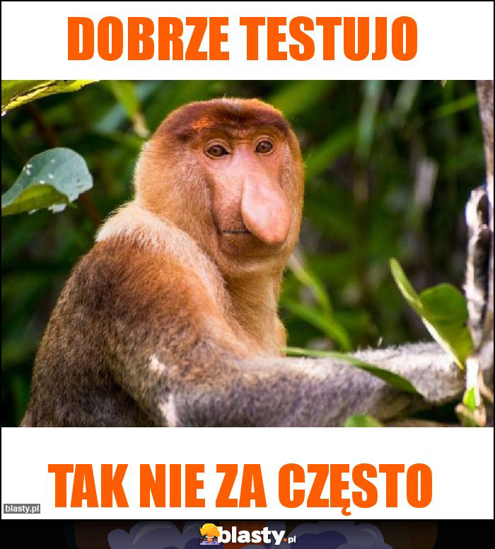 Dobrze testujo