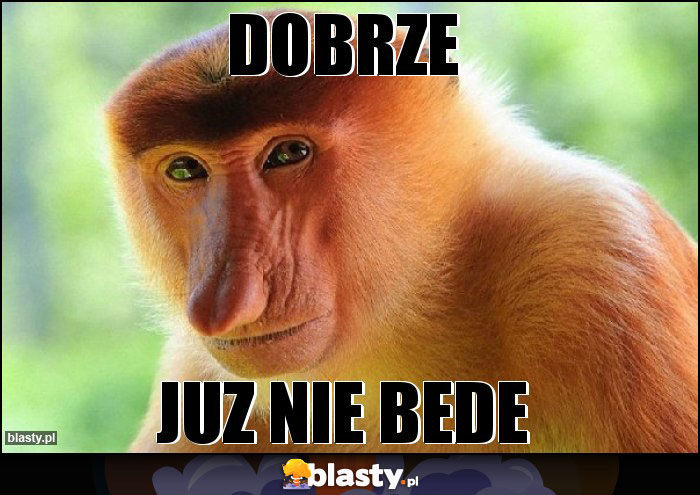 DOBRZE