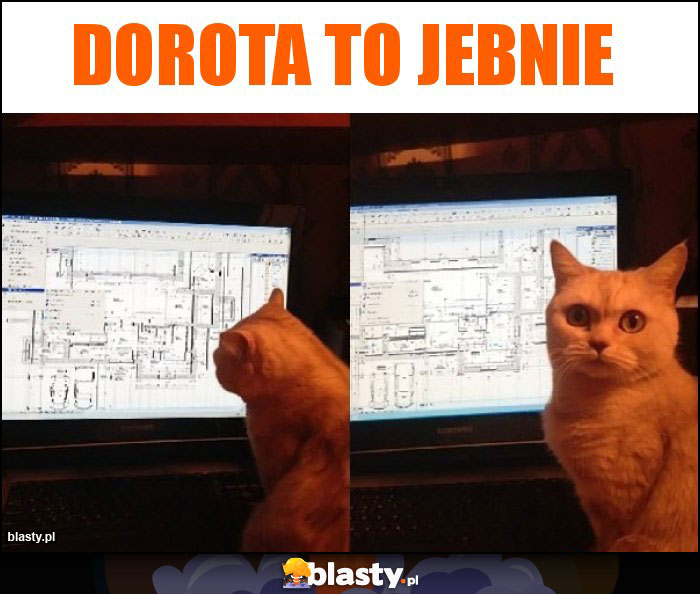 Dorota to jebnie