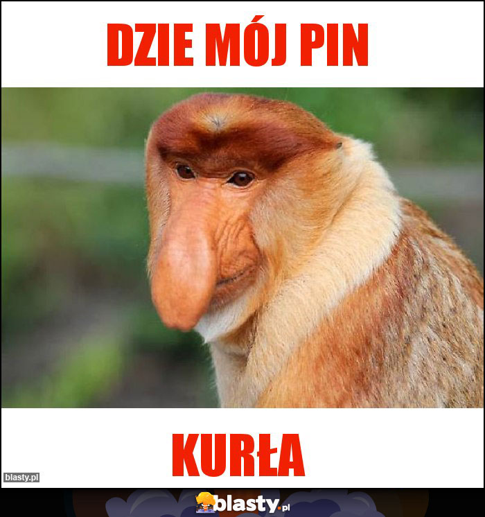 DZIE MÓJ PIN