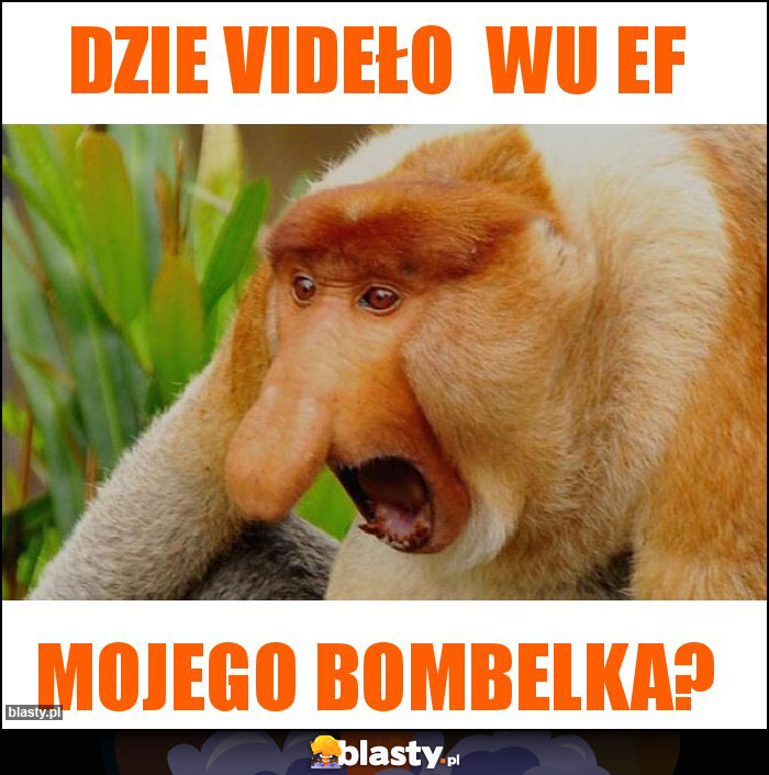 Dzie videło  wu ef