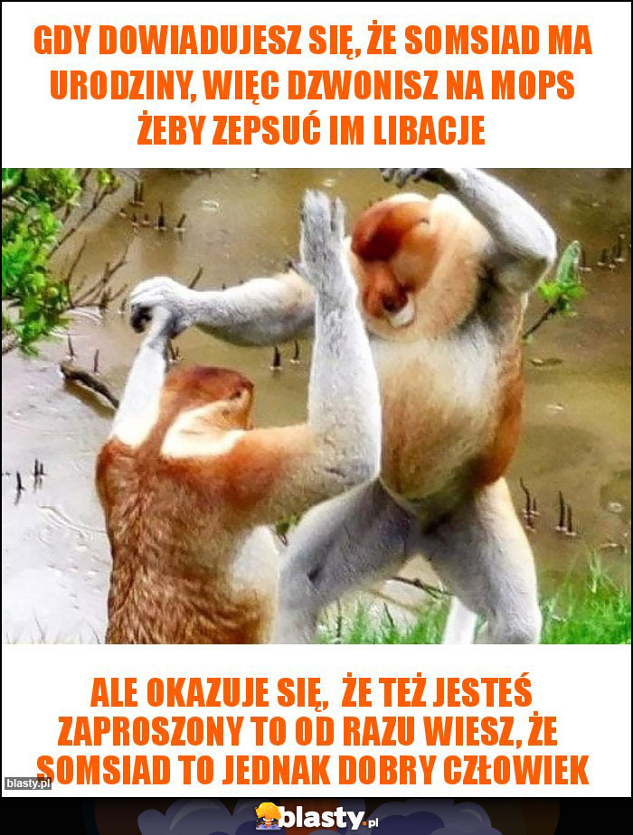 Gdy dowiadujesz się, że somsiad ma urodziny, więc dzwonisz na MOPS żeby zepsuć im libacje