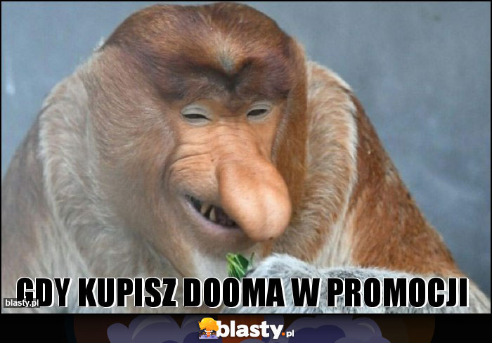 Gdy kupisz dooma w promocji