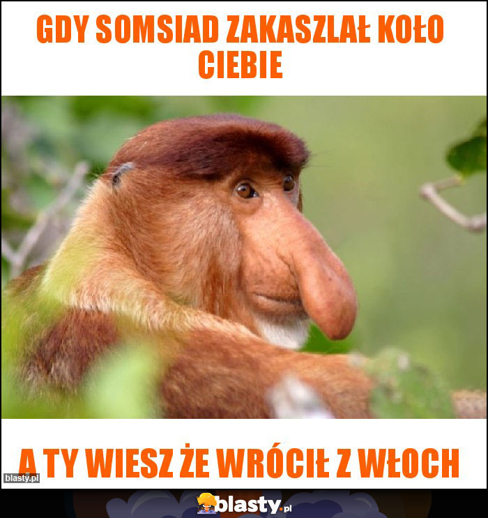 Gdy somsiad zakaszlał koło ciebie