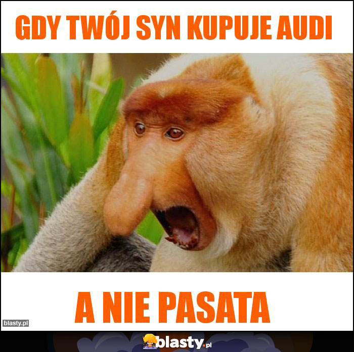 Gdy twój syn kupuje audi