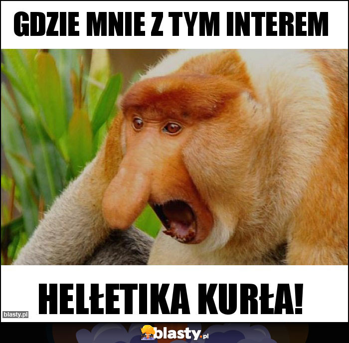 GDZIE MNIE Z TYM INTEREM