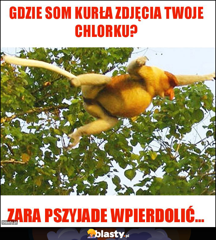 Gdzie som kurła zdjęcia twoje chlorku?