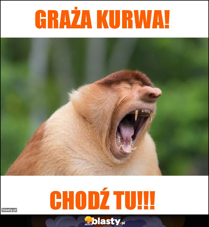 Graża Kurwa!