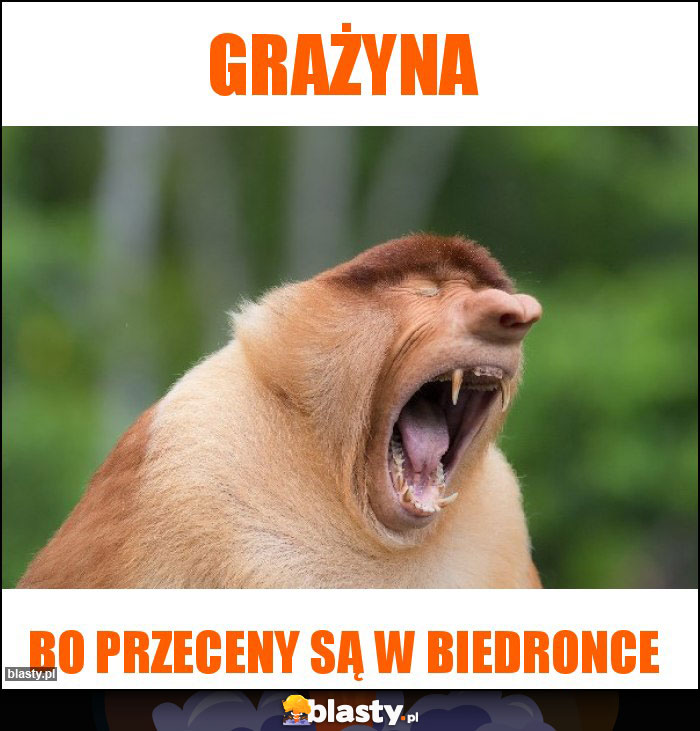 Grażyna