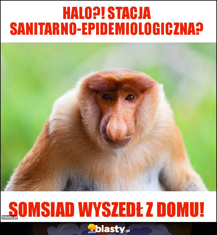 Halo?! Stacja sanitarno-epidemiologiczna?