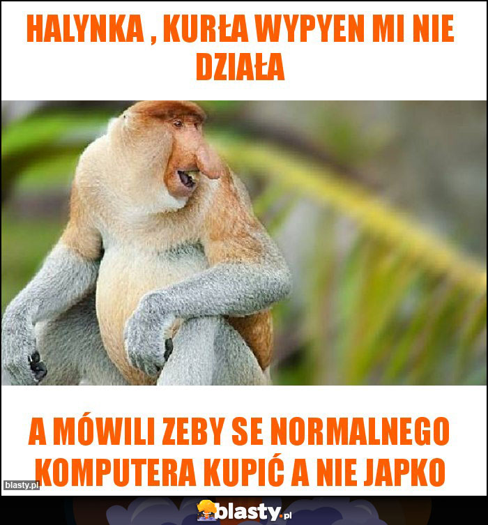 Halynka , Kurła Wypyen mi nie działa