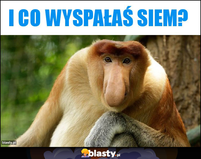 I co wyspałaś siem?