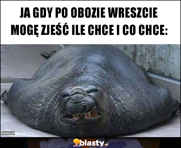 Ja gdy po obozie wreszcie mogę zjeść ile chce i co chce: