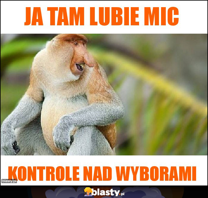 Ja tam lubie mic