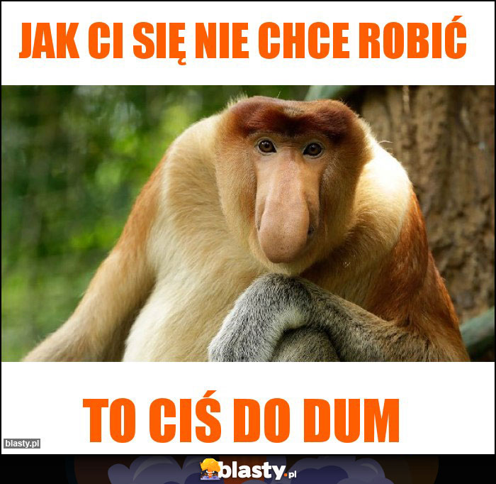 Jak ci się nie chce robić