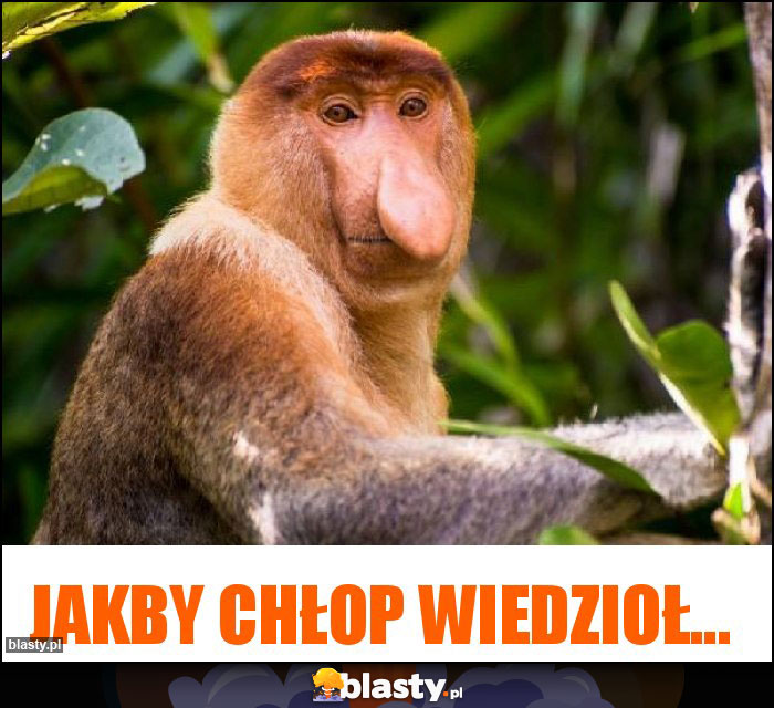 JAKBY CHŁOP WIEDZIOŁ...