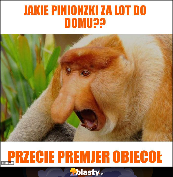 Jakie pinionzki za lot do domu??