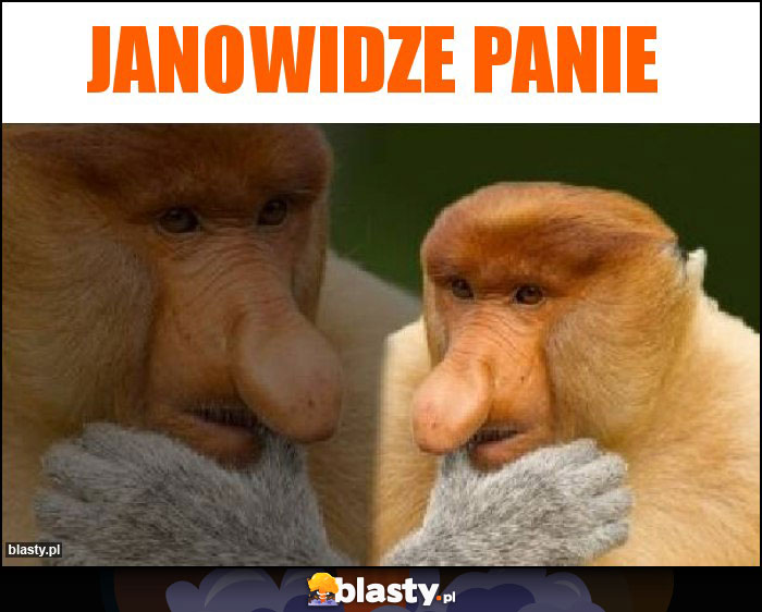 Janowidze panie