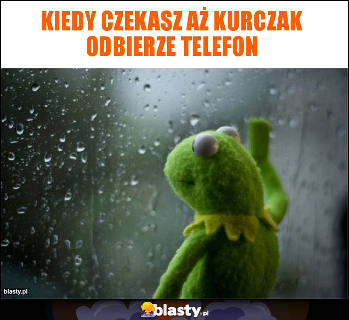 Kiedy czekasz aż kurczak odbierze telefon