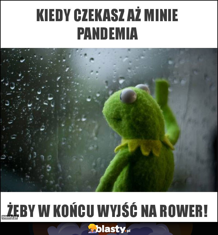 Kiedy czekasz aż minie pandemia