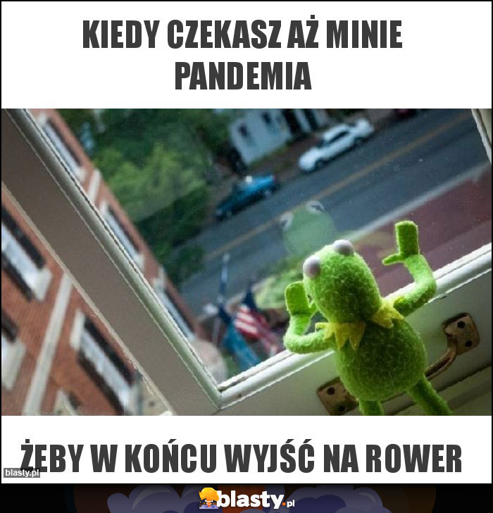 Kiedy czekasz aż minie pandemia