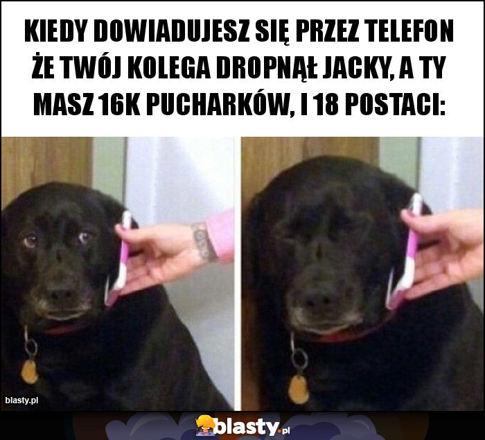 Kiedy dowiadujesz się przez telefon że twój kolega dropnął jacky, a ty masz 16k pucharków, i 18 postaci: