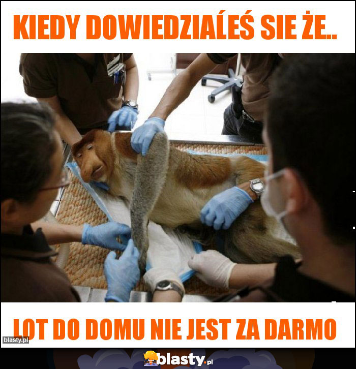 Kiedy dowiedziaĺeś sie że..