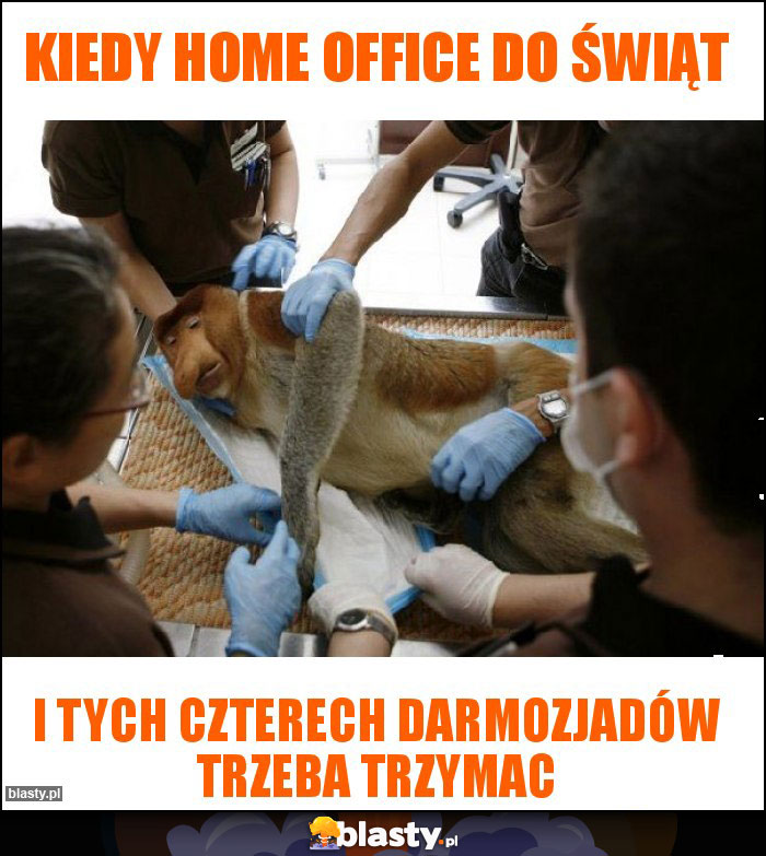 Kiedy home office do świąt