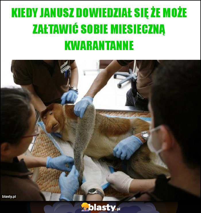 KIEDY JANUSZ DOWIEDZIAŁ SIĘ ŻE MOŻE ZAŁTAWIĆ SOBIE MIESIECZNĄ KWARANTANNE