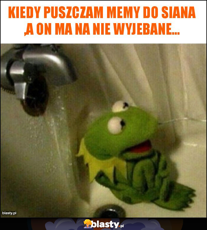 Kiedy puszczam memy do siana ,a on ma na nie wyjebane...