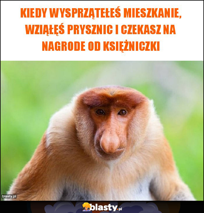 Kiedy wysprzątełeś mieszkanie, wziąłęś prysznic i czekasz na nagrode od księżniczki