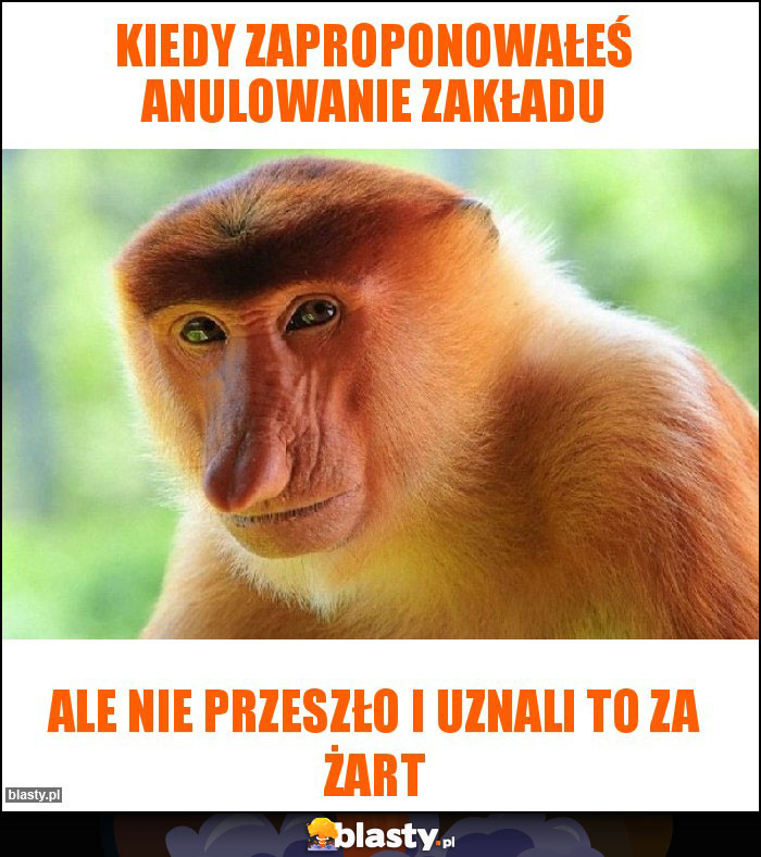 Kiedy zaproponowałeś anulowanie zakładu