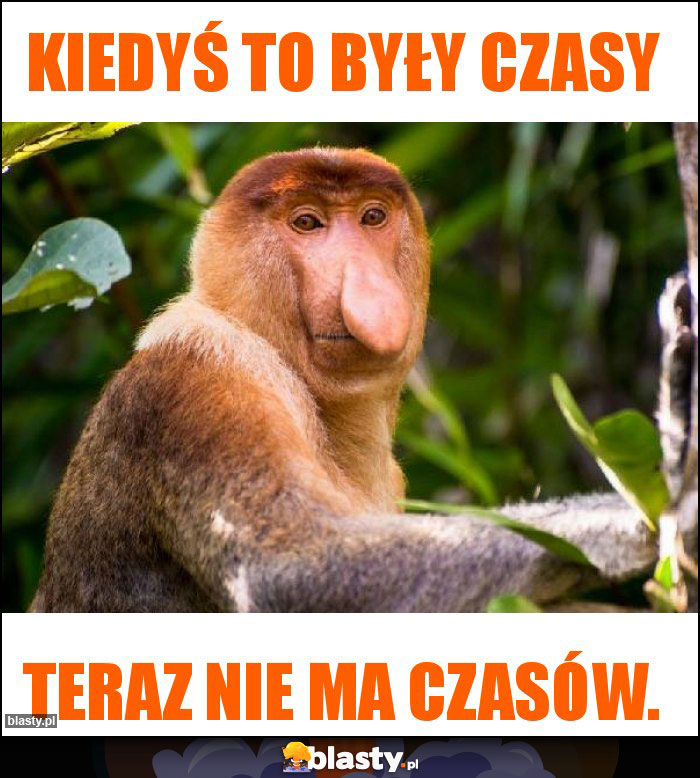 Kiedyś to były czasy