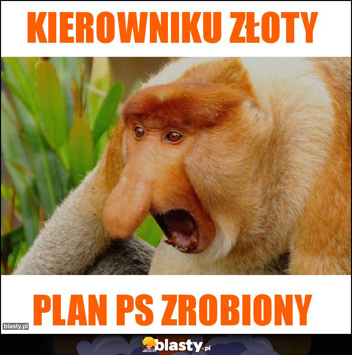 KIEROWNIKU ZŁOTY