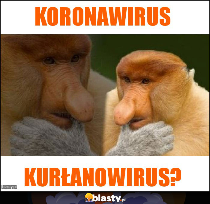 koronawirus