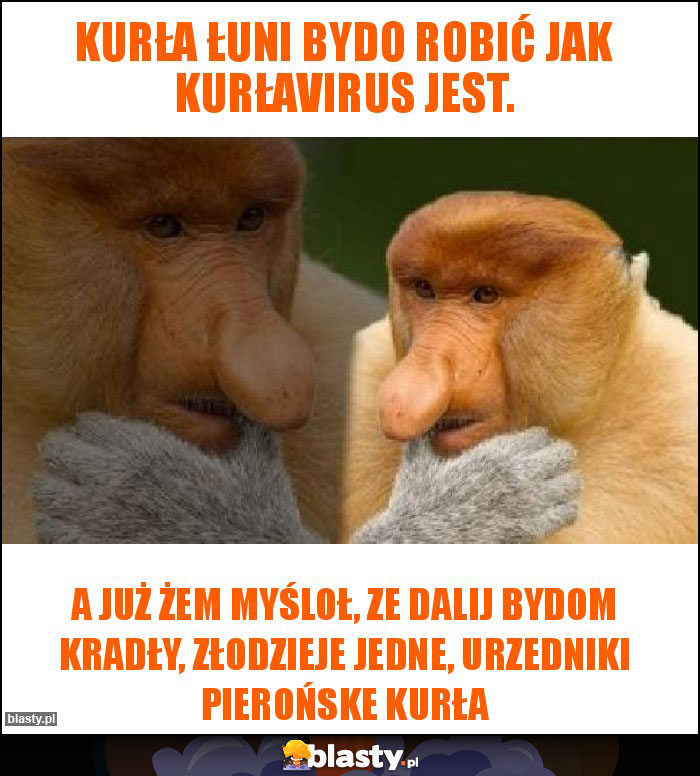 Kurła łuni bydo robić jak kurłavirus jest.