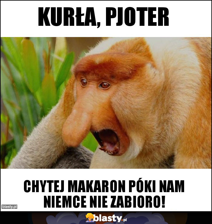 KURŁA, PJOTER