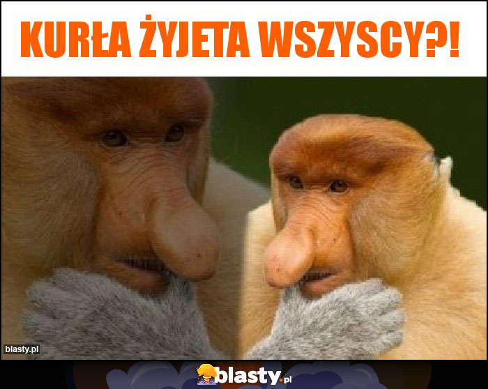 kurła żyjeta wszyscy?!