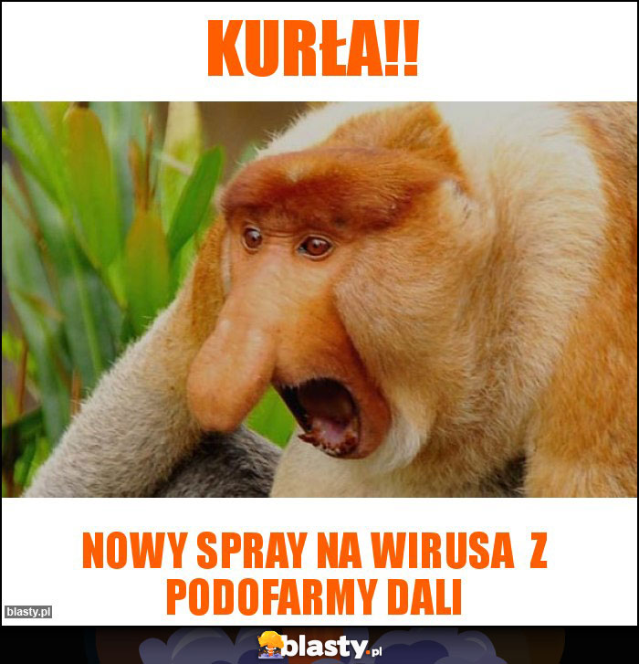 KURŁA!!