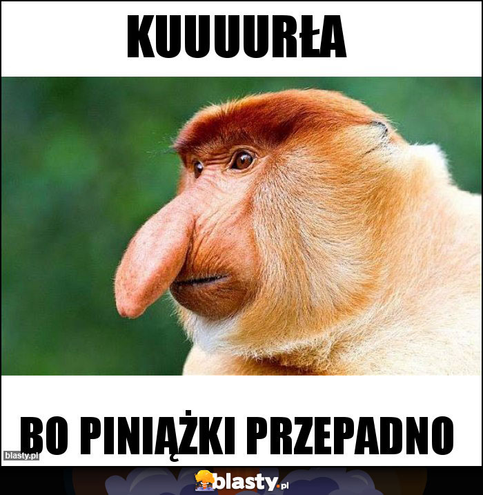 kuuuurła