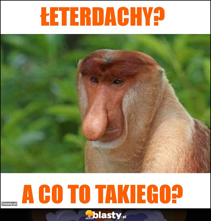 ŁETERDACHY?