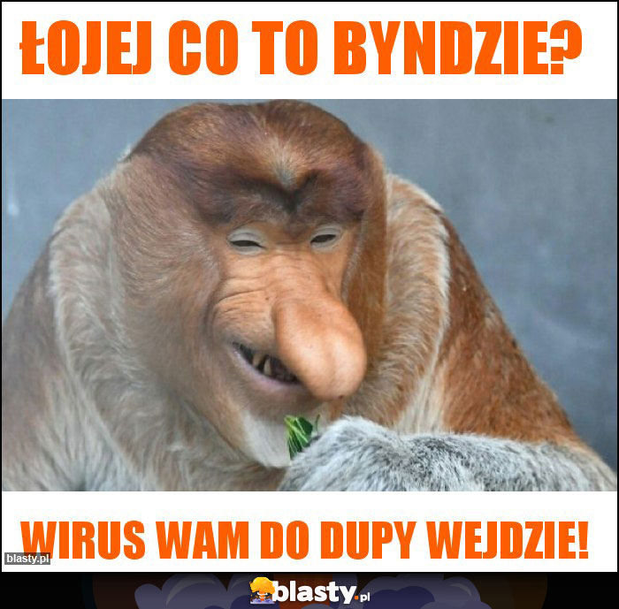 Łojej co to byndzie?