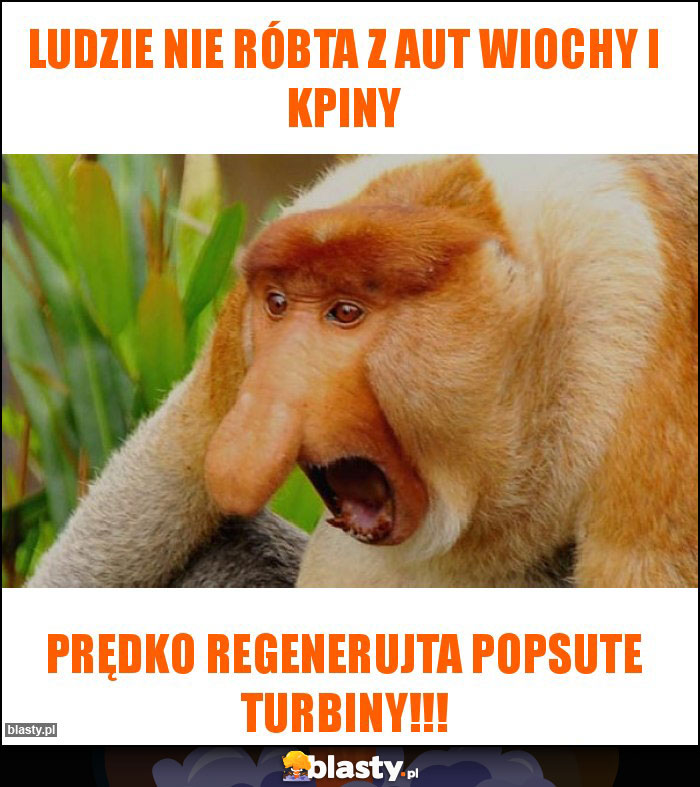 Ludzie nie róbta z aut wiochy i kpiny