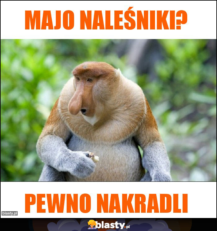 Majo naleśniki?