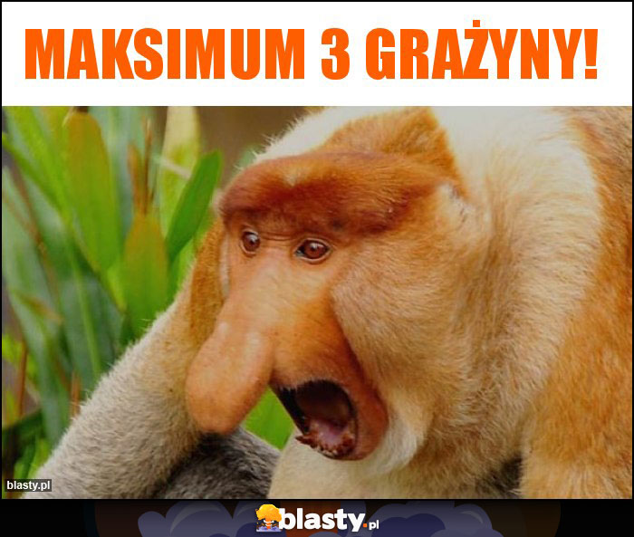 Maksimum 3 Grażyny!