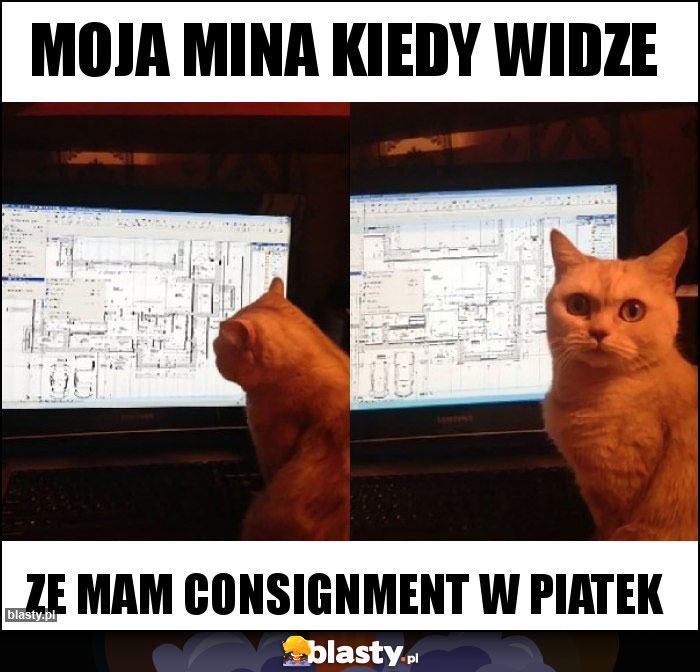 Moja mina kiedy widze